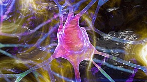 Cuba desarrolla una molécula para tratar enfermedades neurodegenerativas como el párkinson Cuba desarrolla una molécula para tratar enfermedades neurodegenerativas como el párkinson
