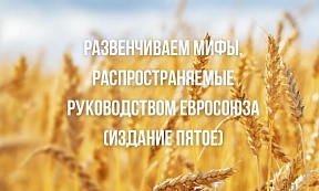Развенчиваем мифы, распространяемые руководством Евросоюза (издание пятое) Развенчиваем мифы, распространяемые руководством Евросоюза (издание пятое)